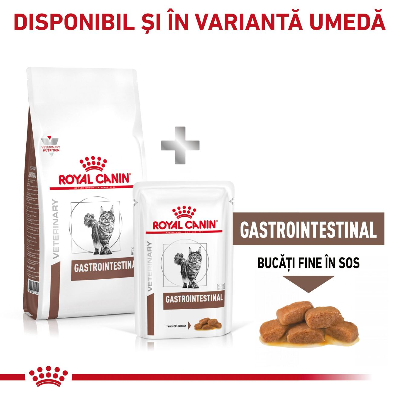 GASTROINTESTINAL