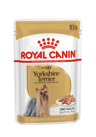 Yorkshire Terrier Adult pasztet