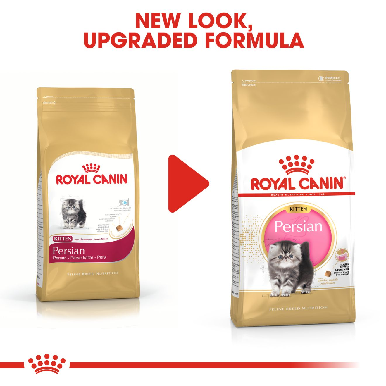 Harga royal canin kitten persian best sale 1 kg