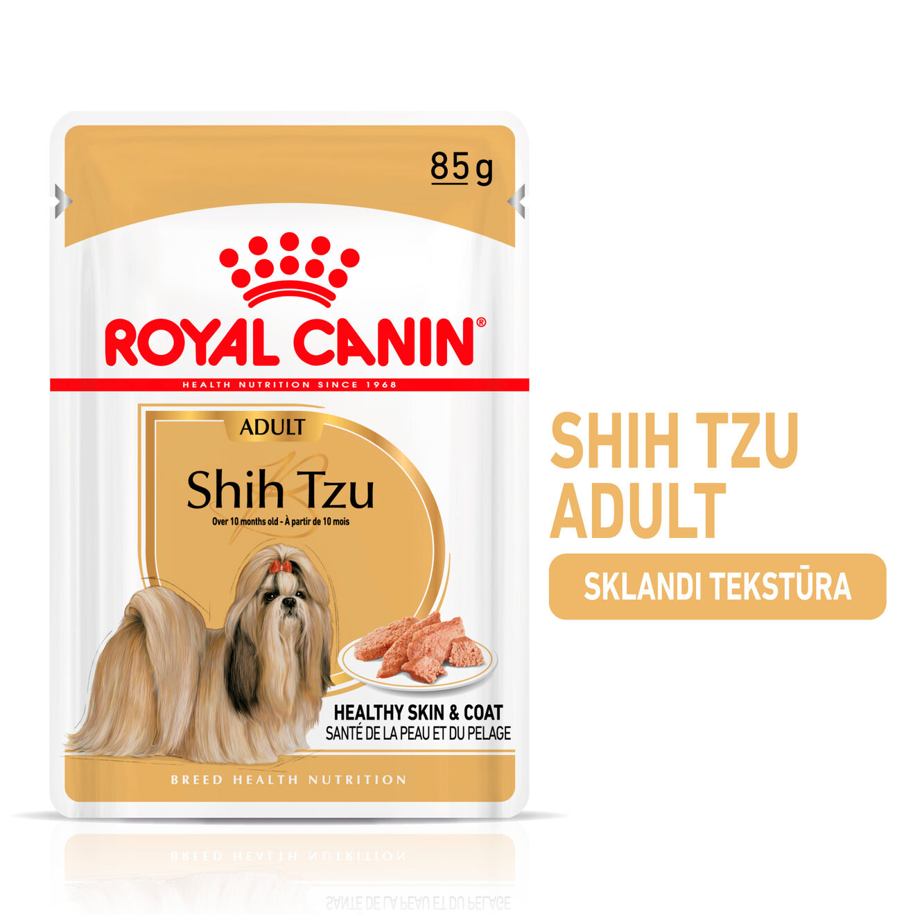 Shih Tzu