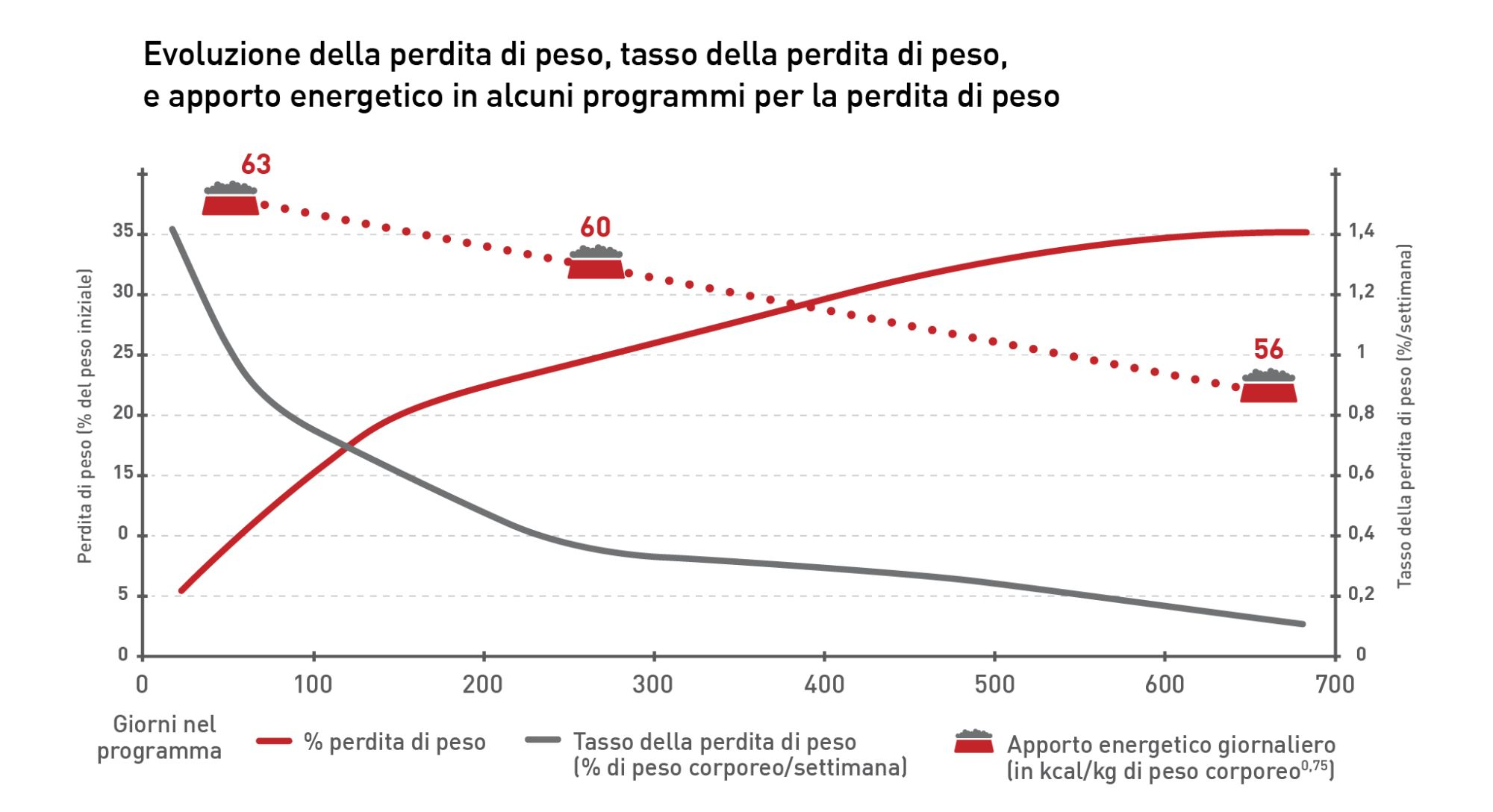 Nei cani, la perdita di peso è più marcata all’incirca nelle prime 12 settimane dopo l’inizio di un programma di gestione del peso