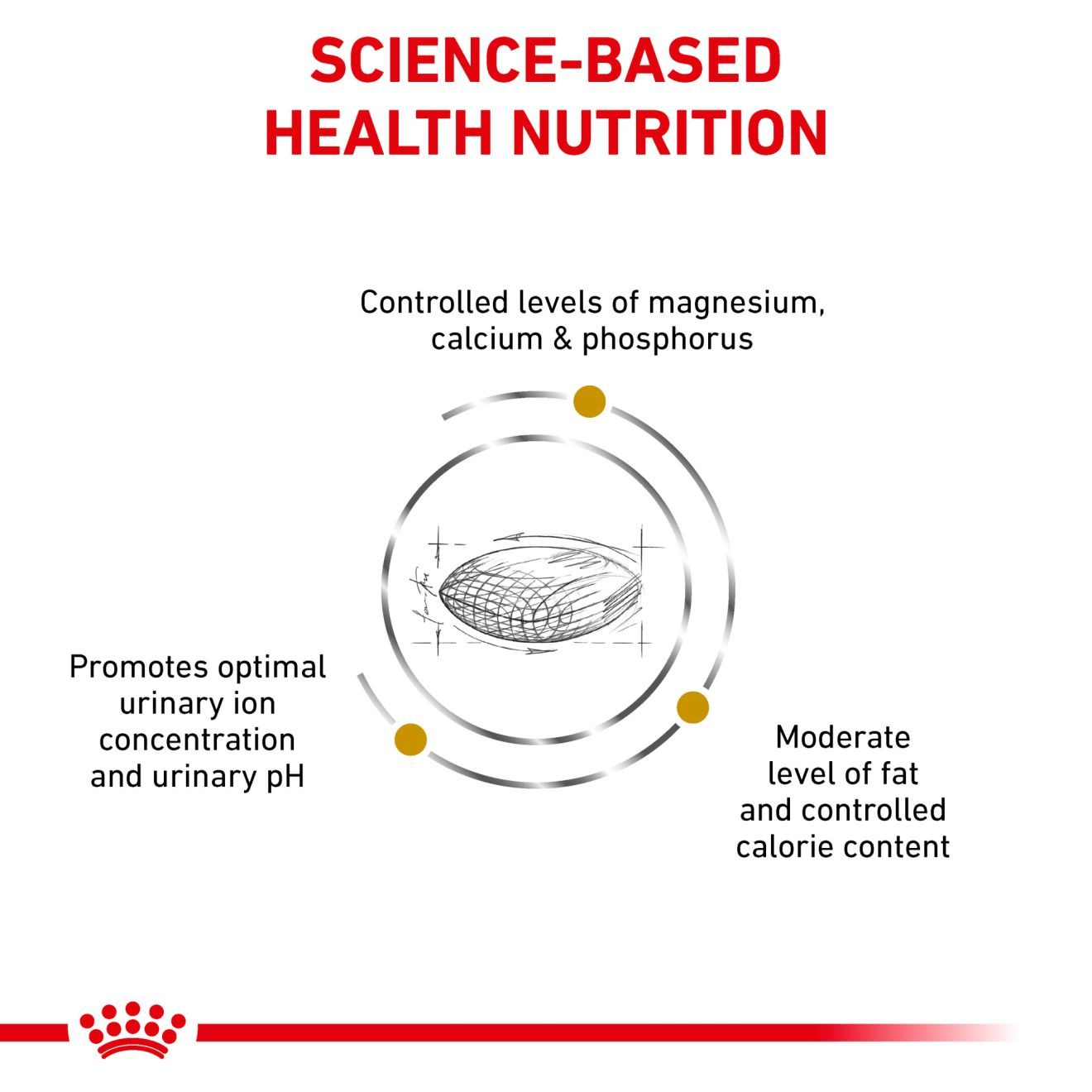 Royal canin canine urinary so moderate calorie feeding hot sale guide