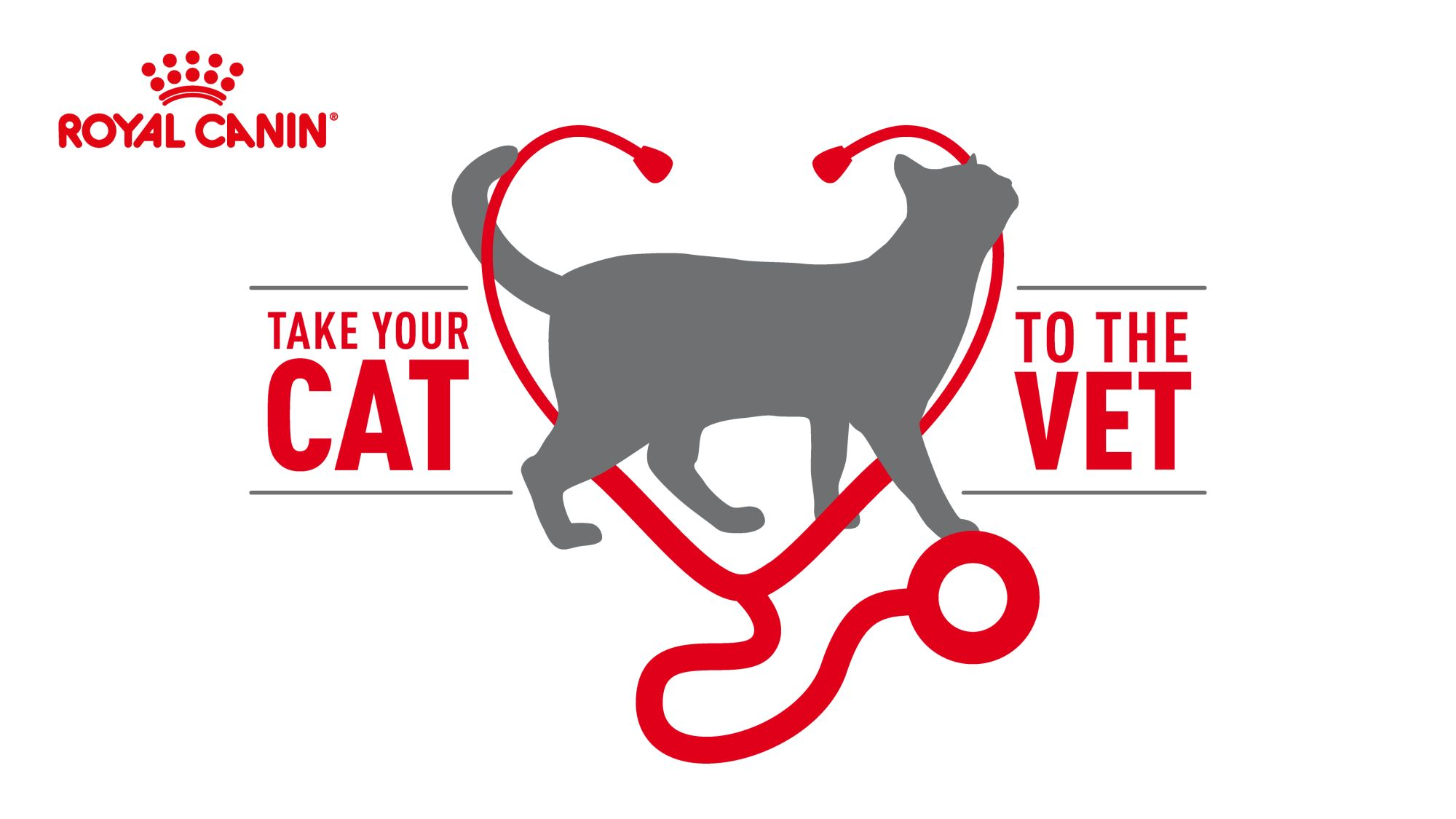 Take your cat to vet logo 