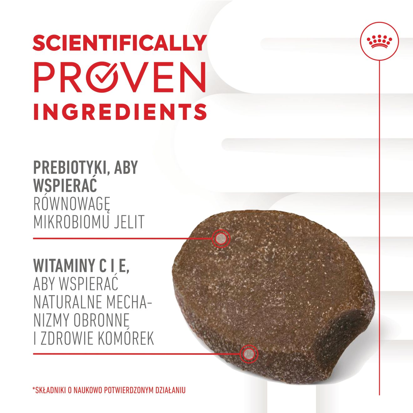 Supplements Dog Immunity & Digestion Puppy