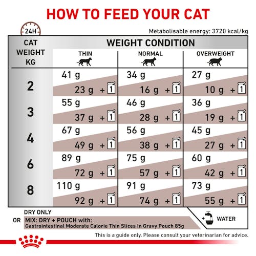 Gastrointestinal Moderate Calorie