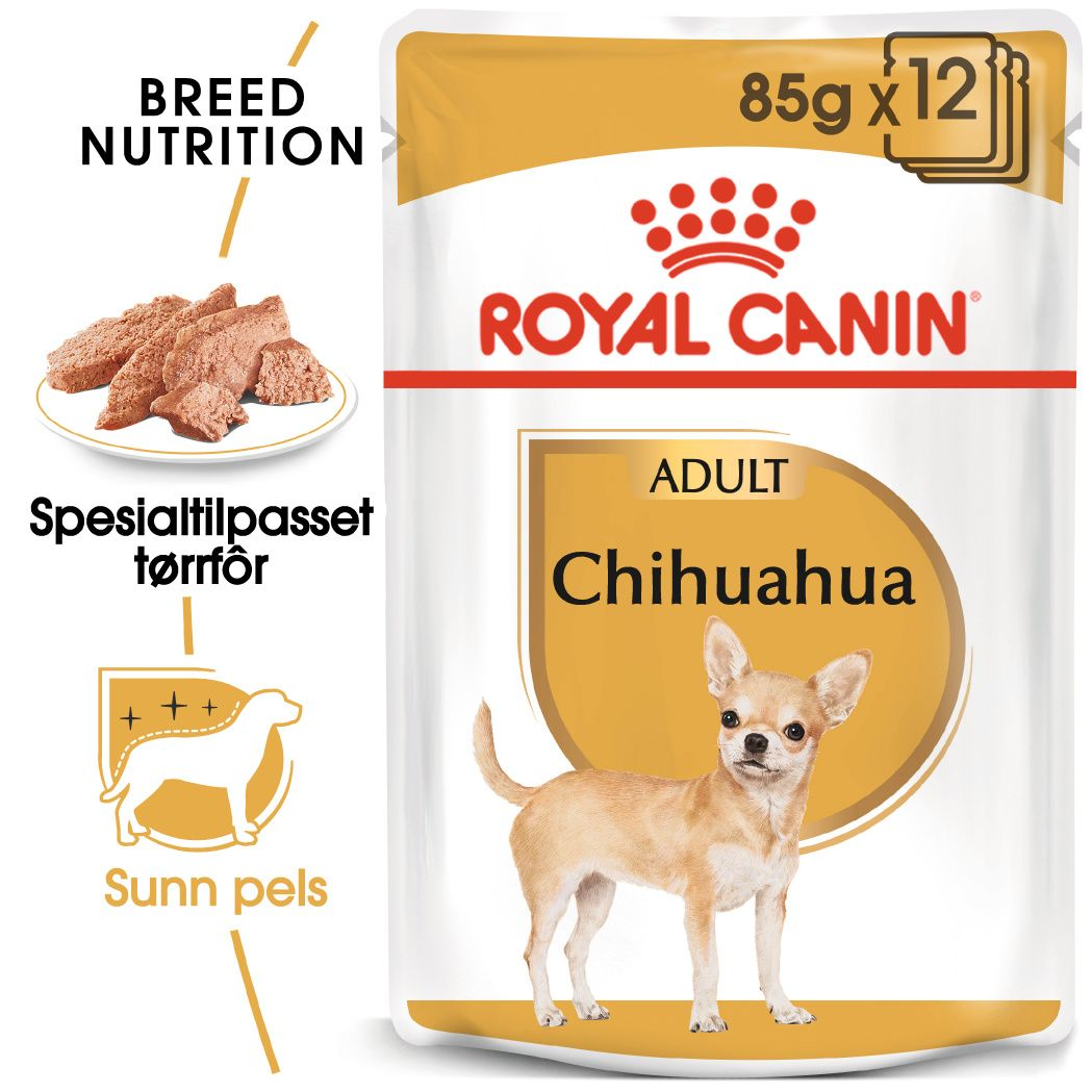 Chihuahua Adult Loaf
