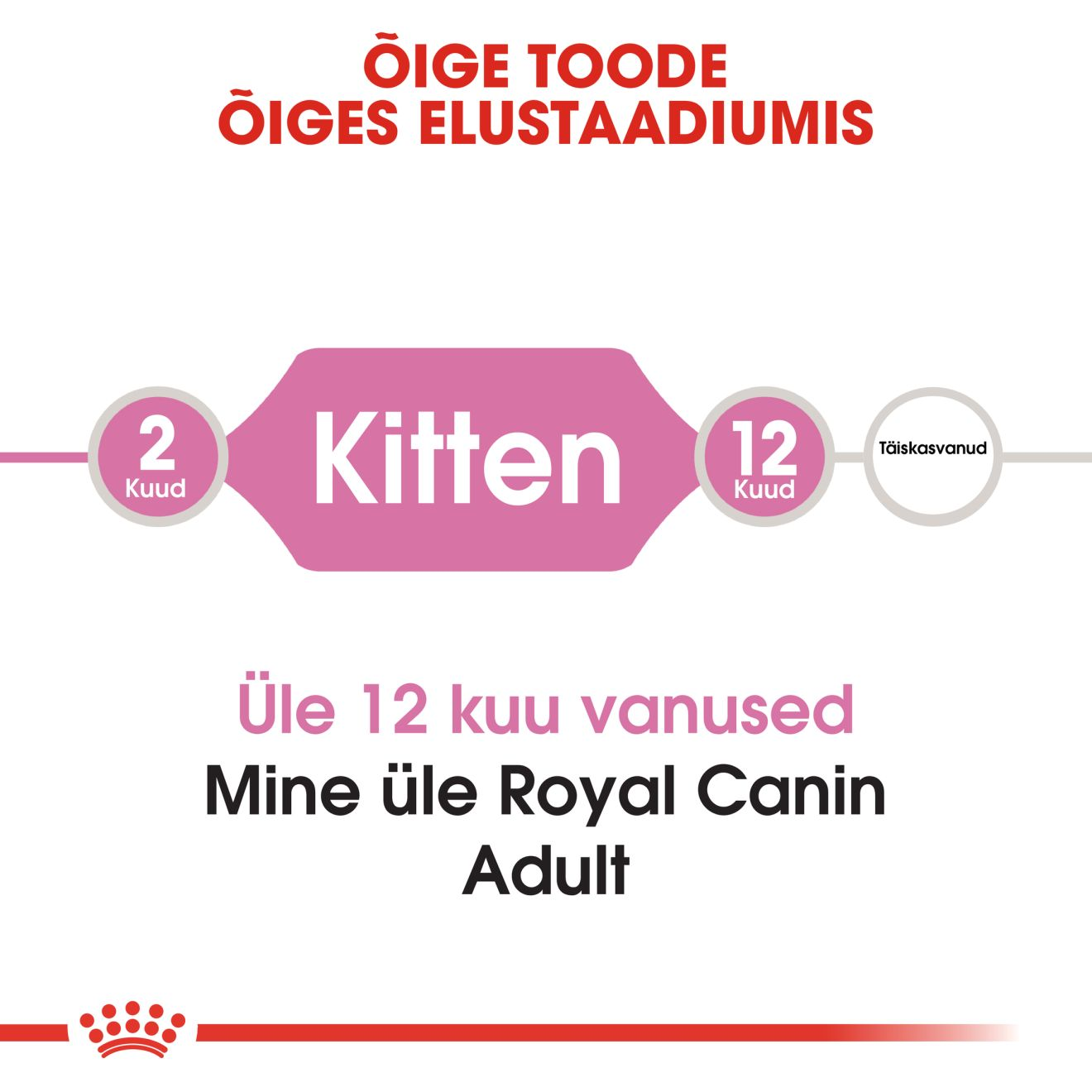 Royal Canin Kitten kuivtoit