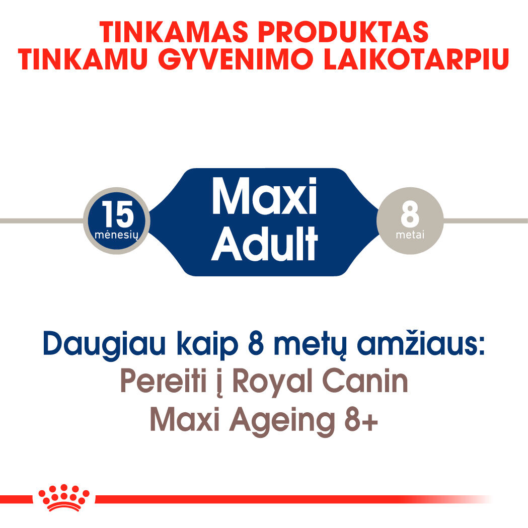 Maxi Adult