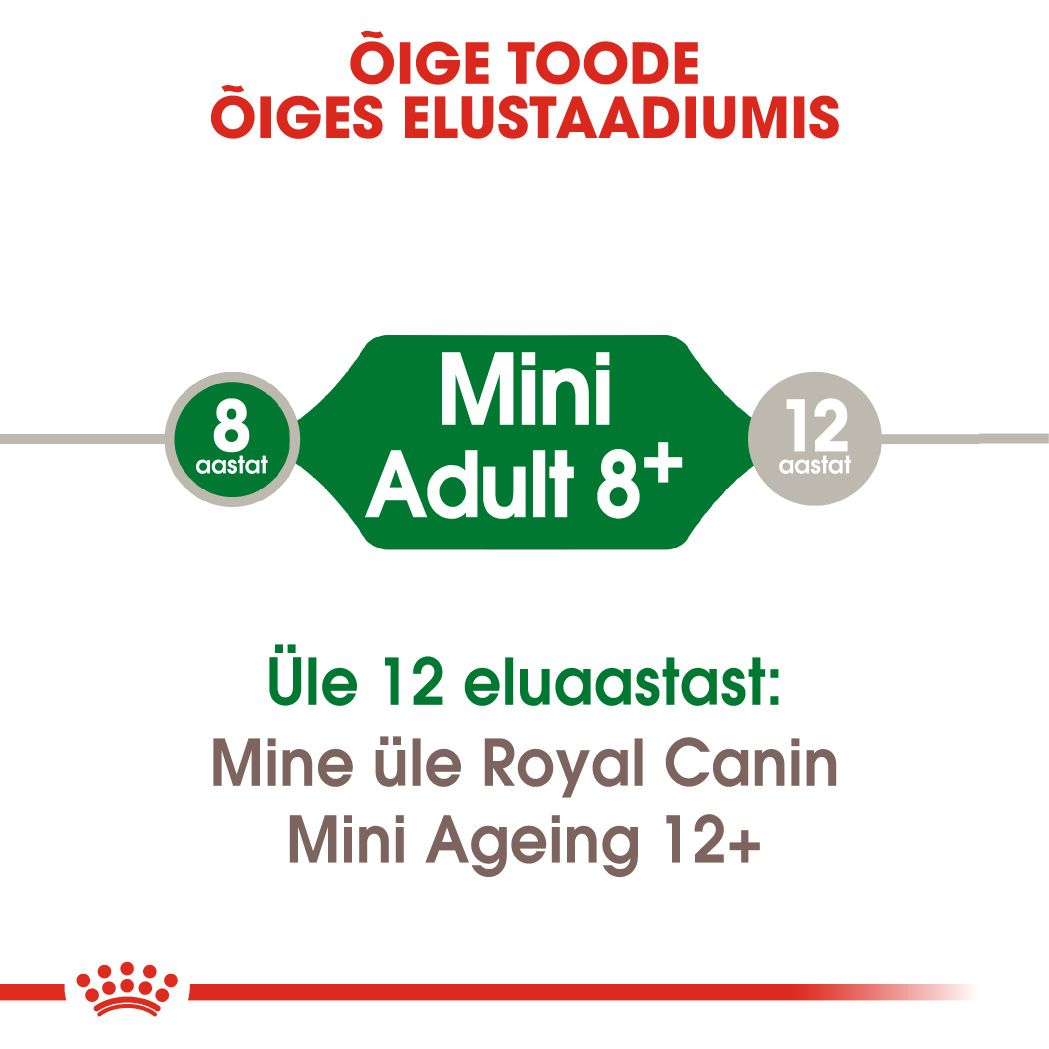 Royal Canin Mini Adult 8+ kuivtoit