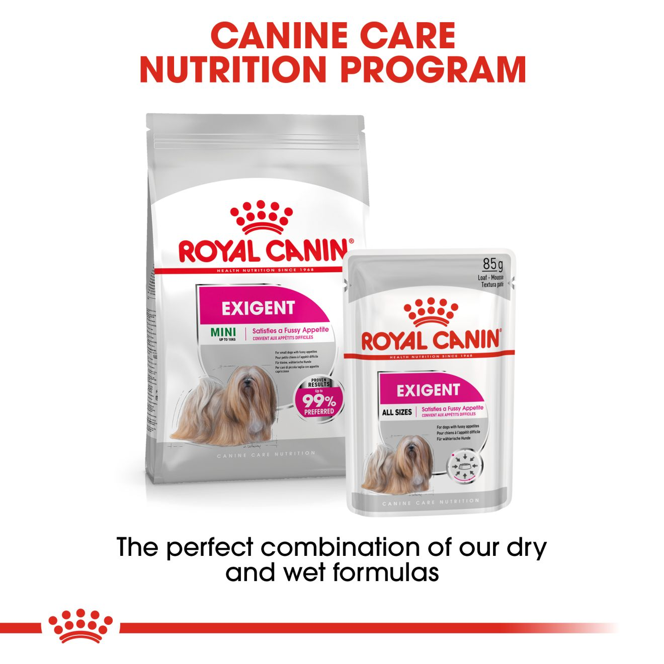 Mini Exigent Dry - Royal Canin