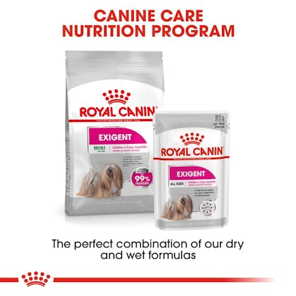 Mini exigent hot sale royal canin