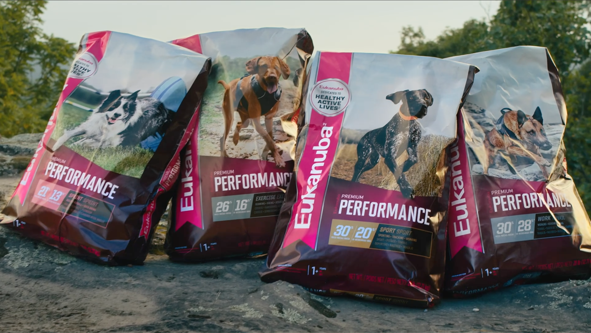 Eukanuba premium shop performance dog food