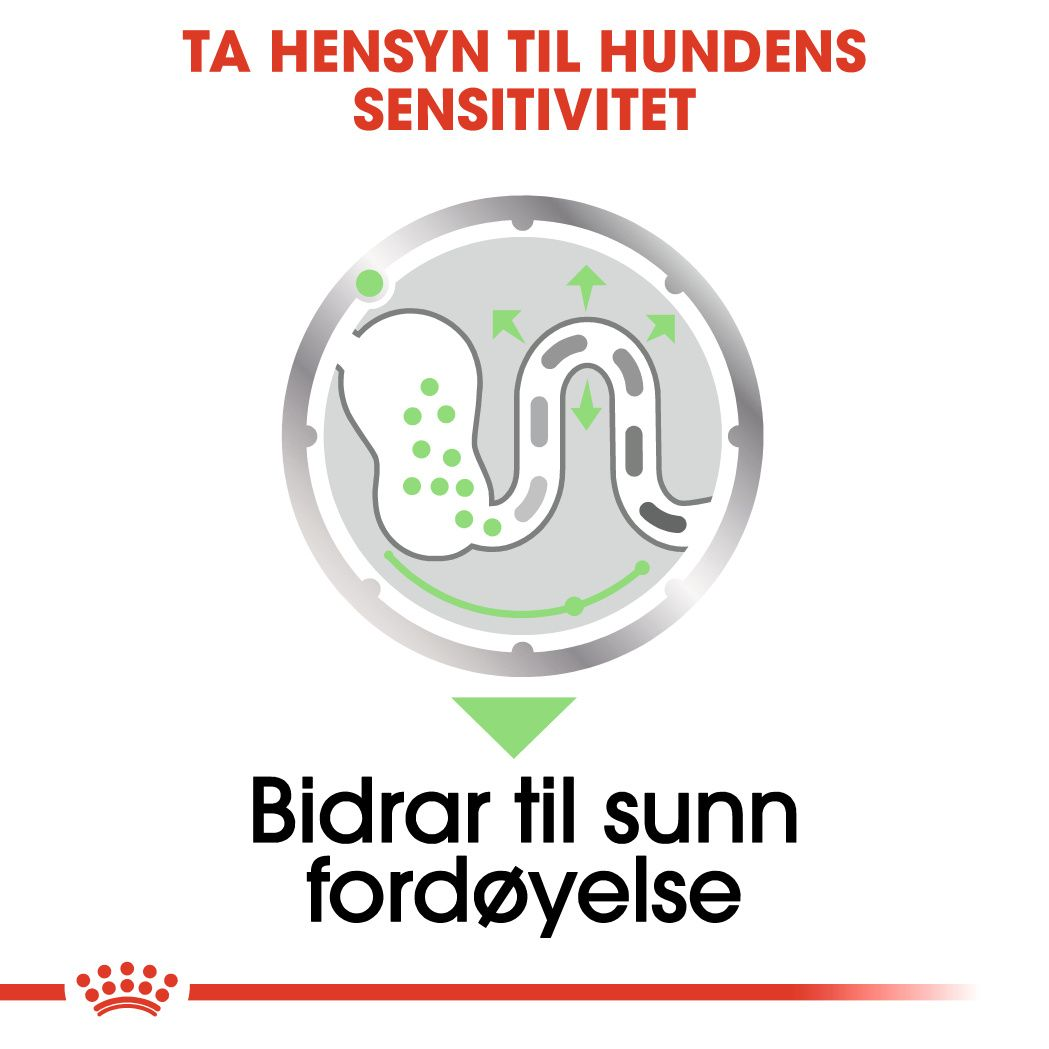 Digestive Care Adult Loaf