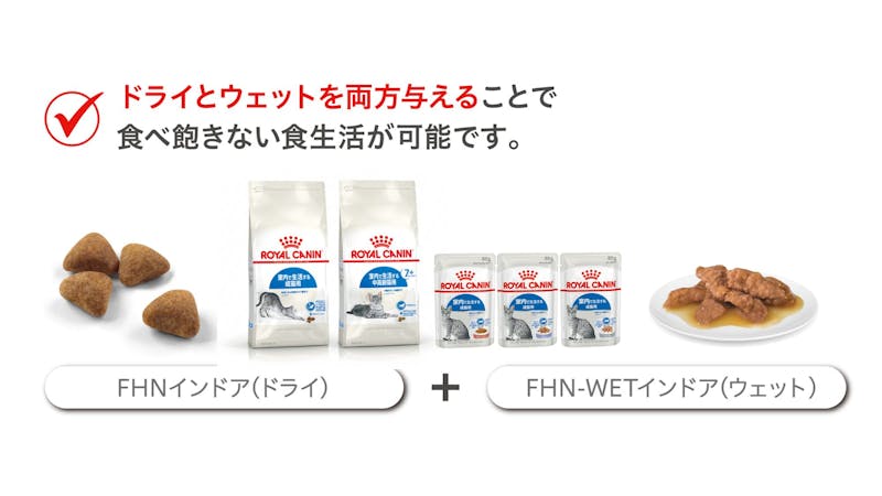 407-japan-local-ca-fhn-dry-and-wet