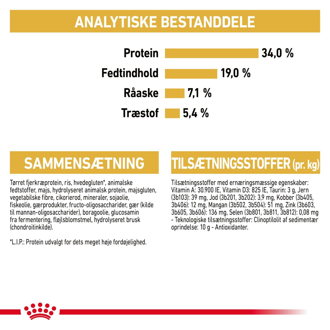British Shorthair Adult