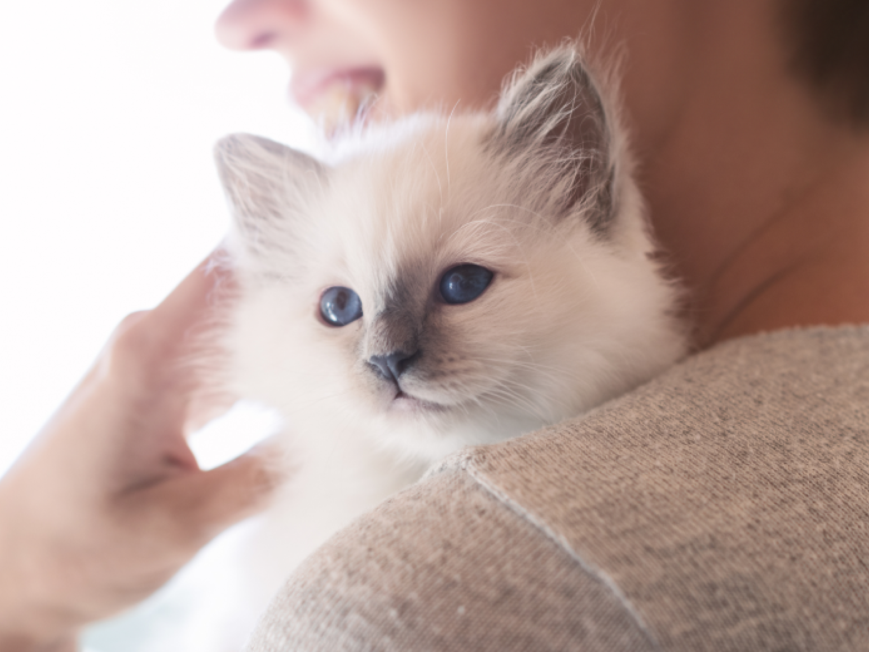 mujer sonriente joven abrazando a un gatito