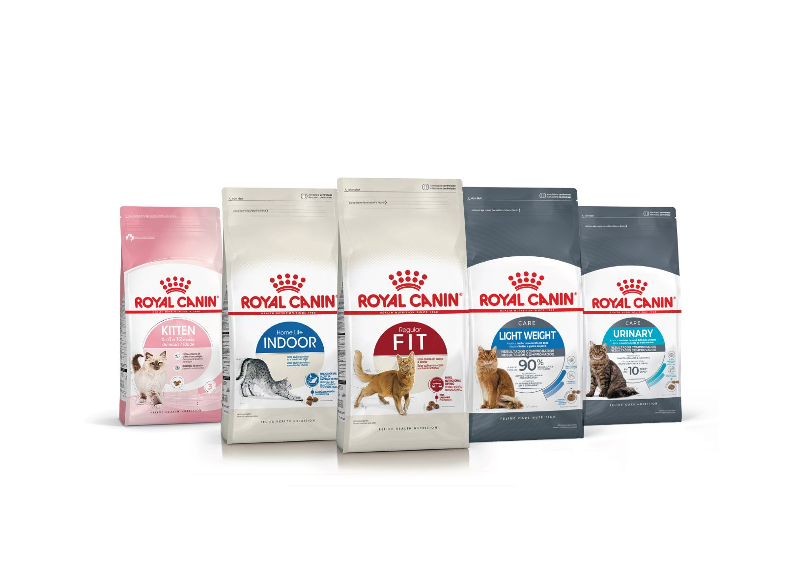 Nutricion especifica para gatos