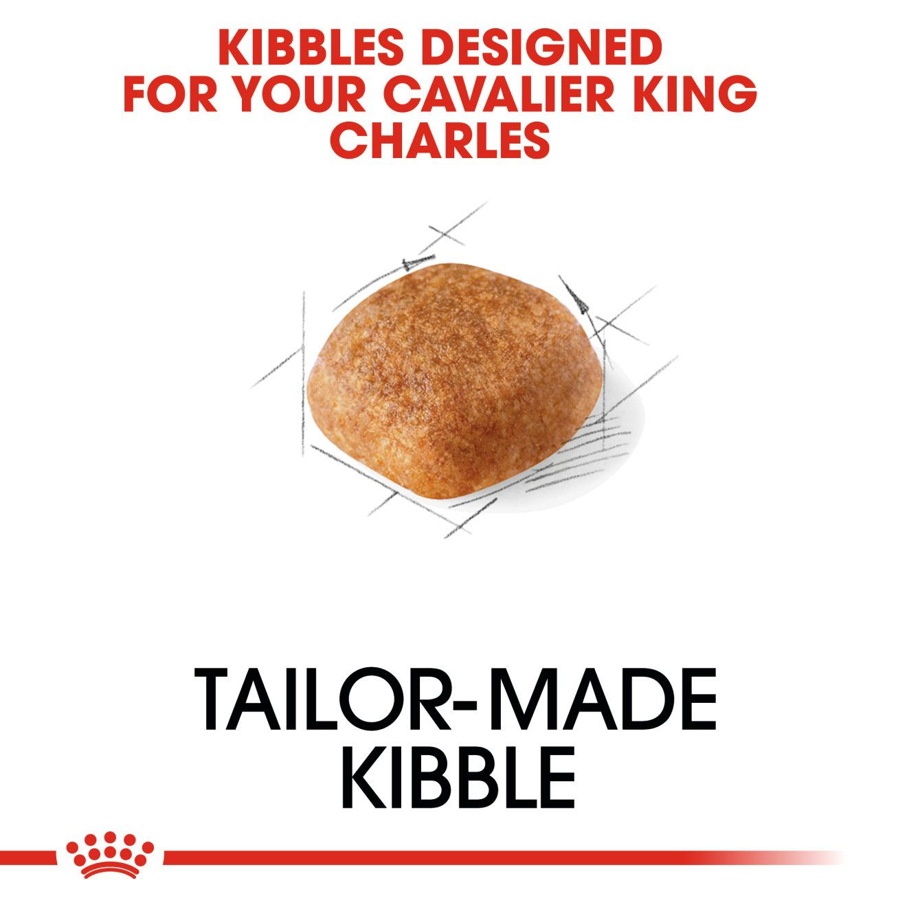 royal canin cavalier king charles dog food