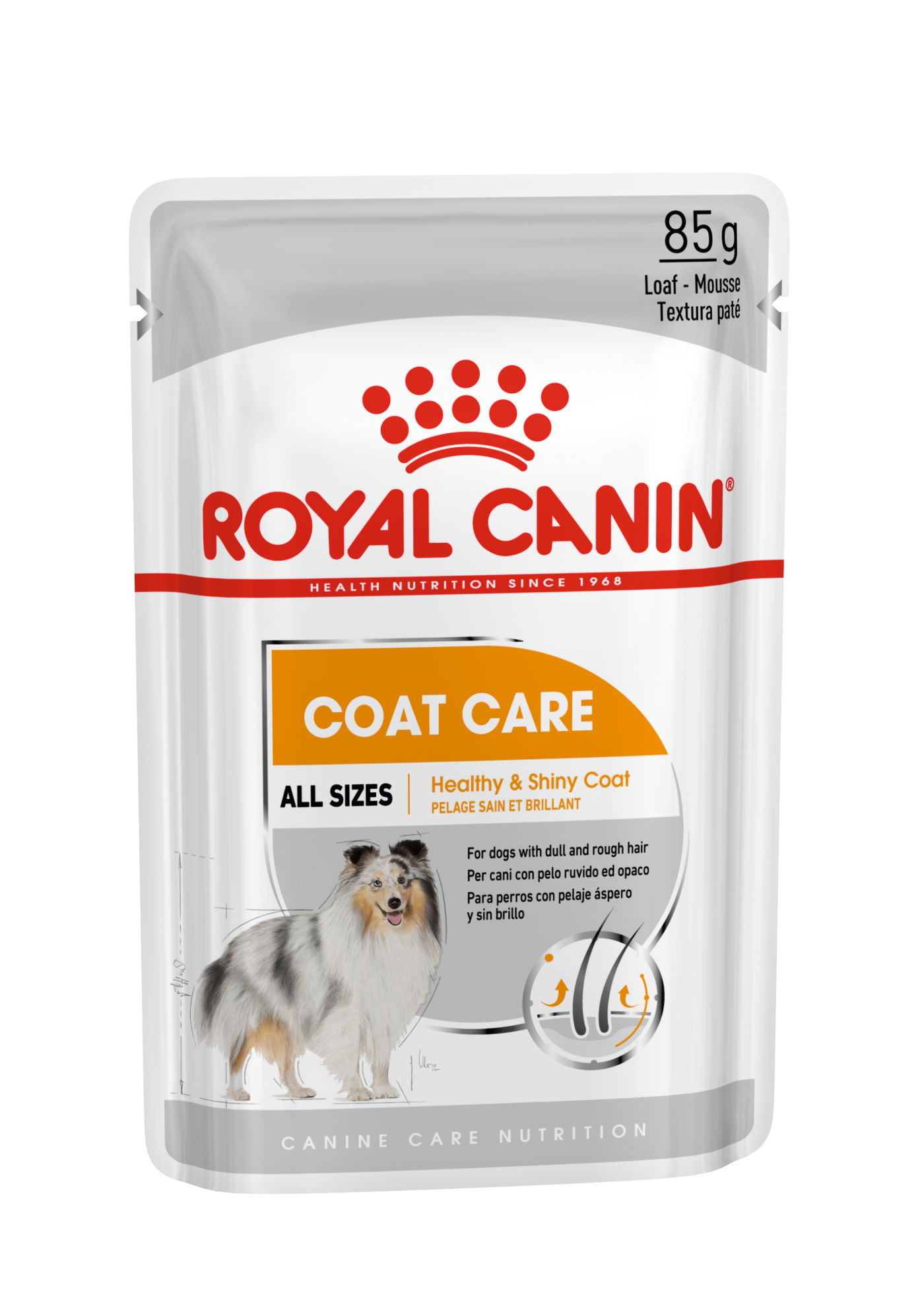 Dog coat clearance health