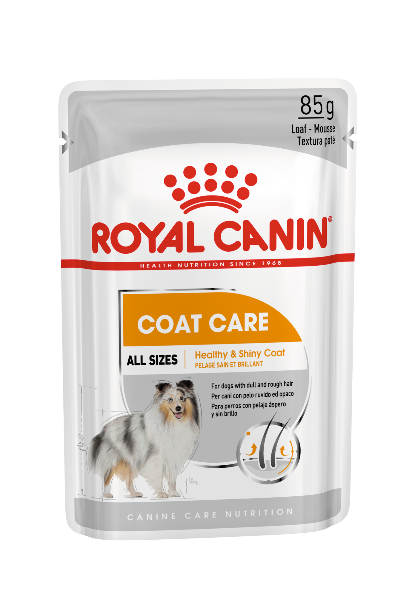 Dog food for shiny coat best sale