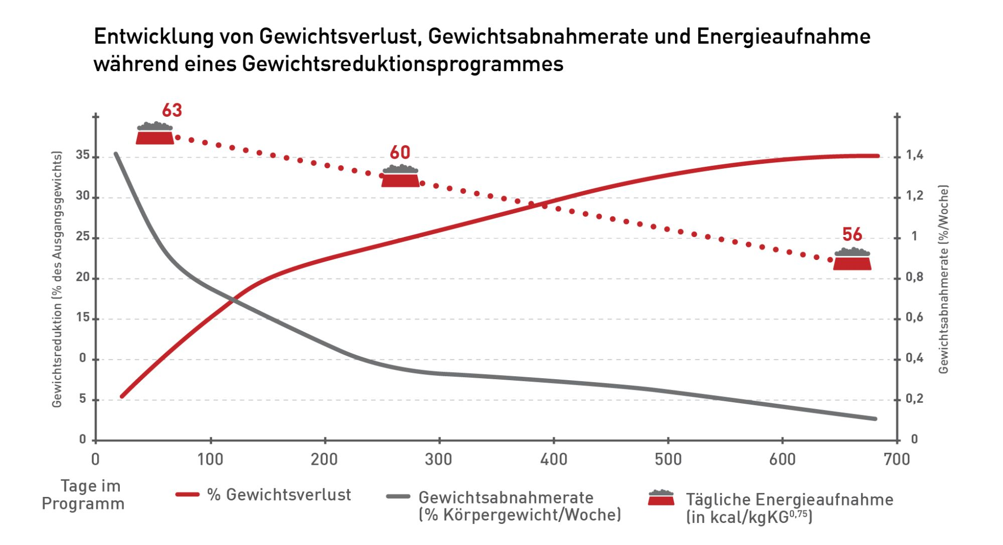 Die Gewichtsreduktion bei Hunden ist während der ersten etwa 12 Wochen eines Gewichtsmanagementprogramms am erfolgreichsten