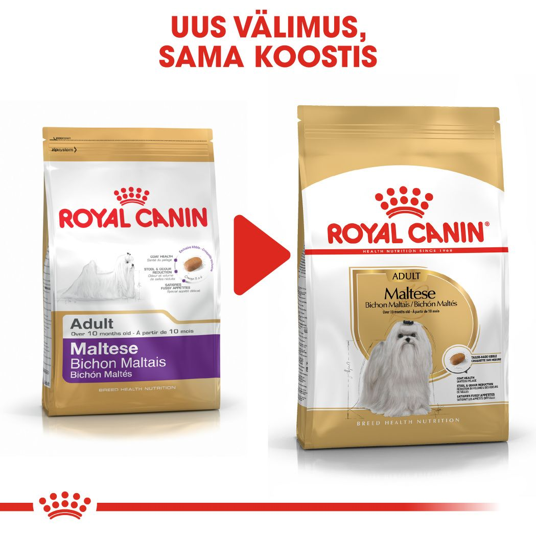 Royal Canin Maltese Adult kuivtoit