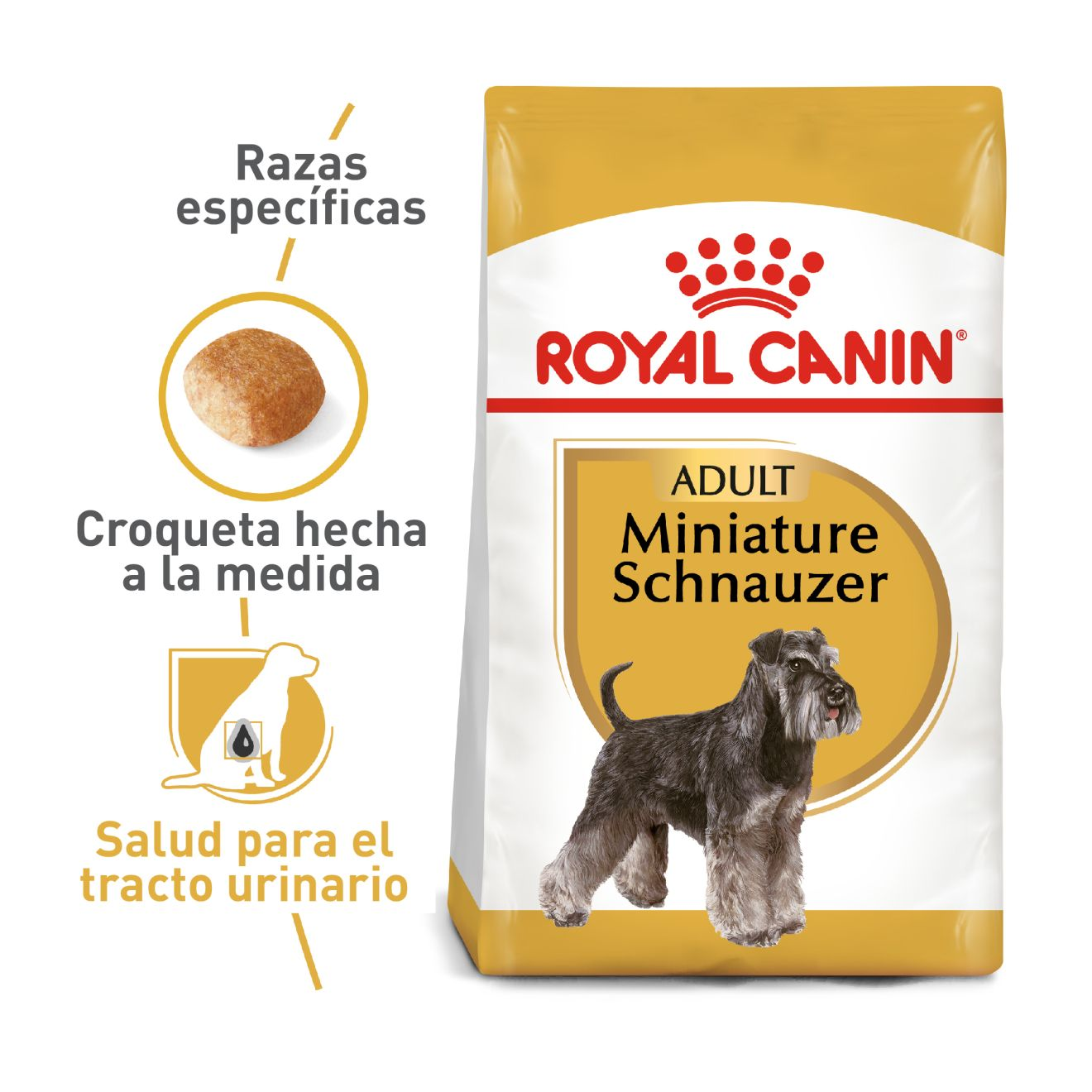 Schnauzer Miniatura Adulto