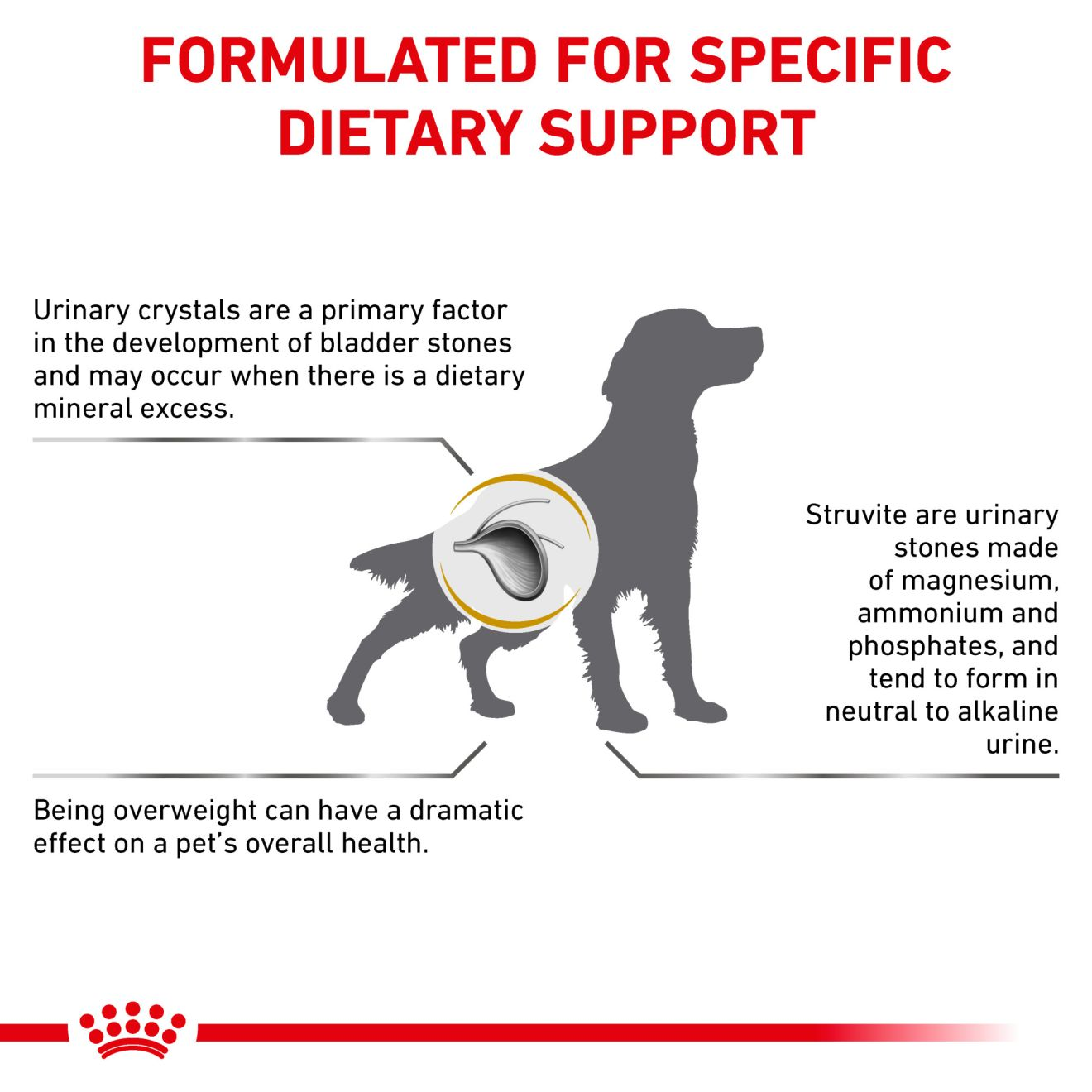Canine Urinary SO® Moderate Calorie