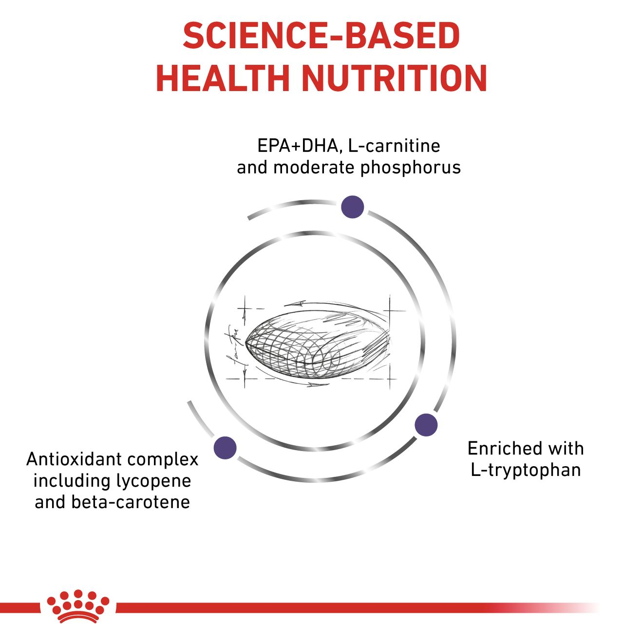VHN Dog Mature Consult Large 