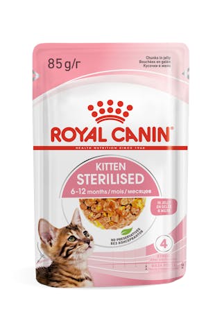 Kitten Sterilised / Filhotes Castrados - Jelly