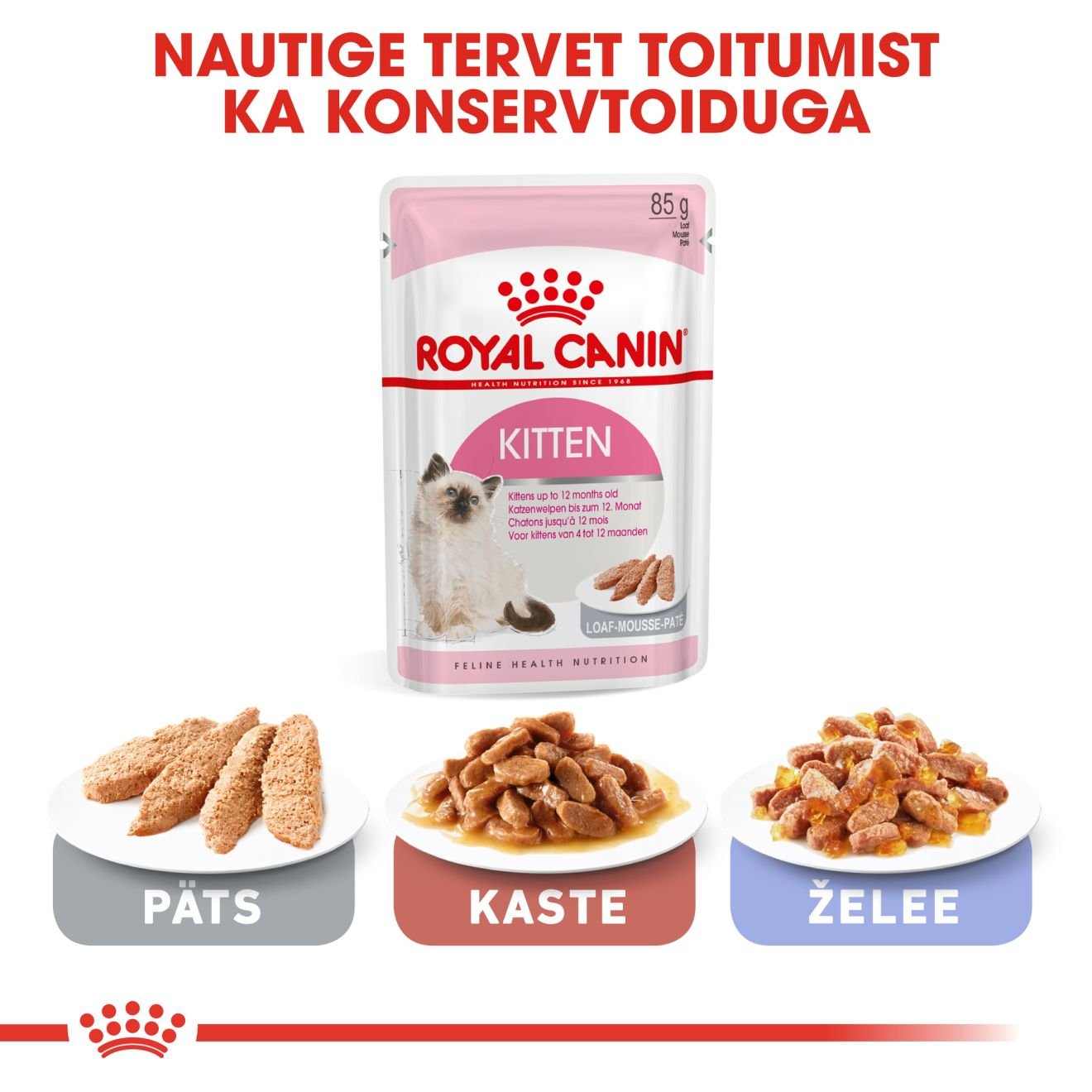 Royal Canin Kitten kuivtoit