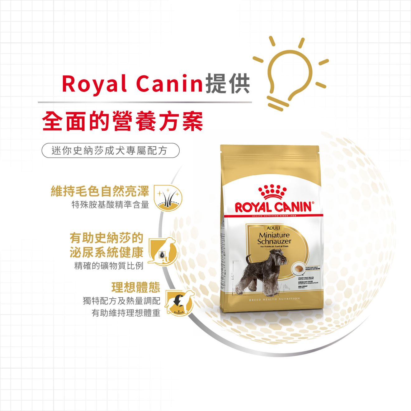 BHN 迷你史納莎成犬專屬配方