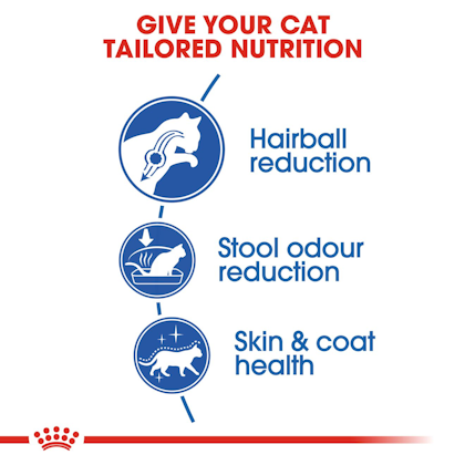 FHN-IndoorLongHair-CV-Eretailkit-2