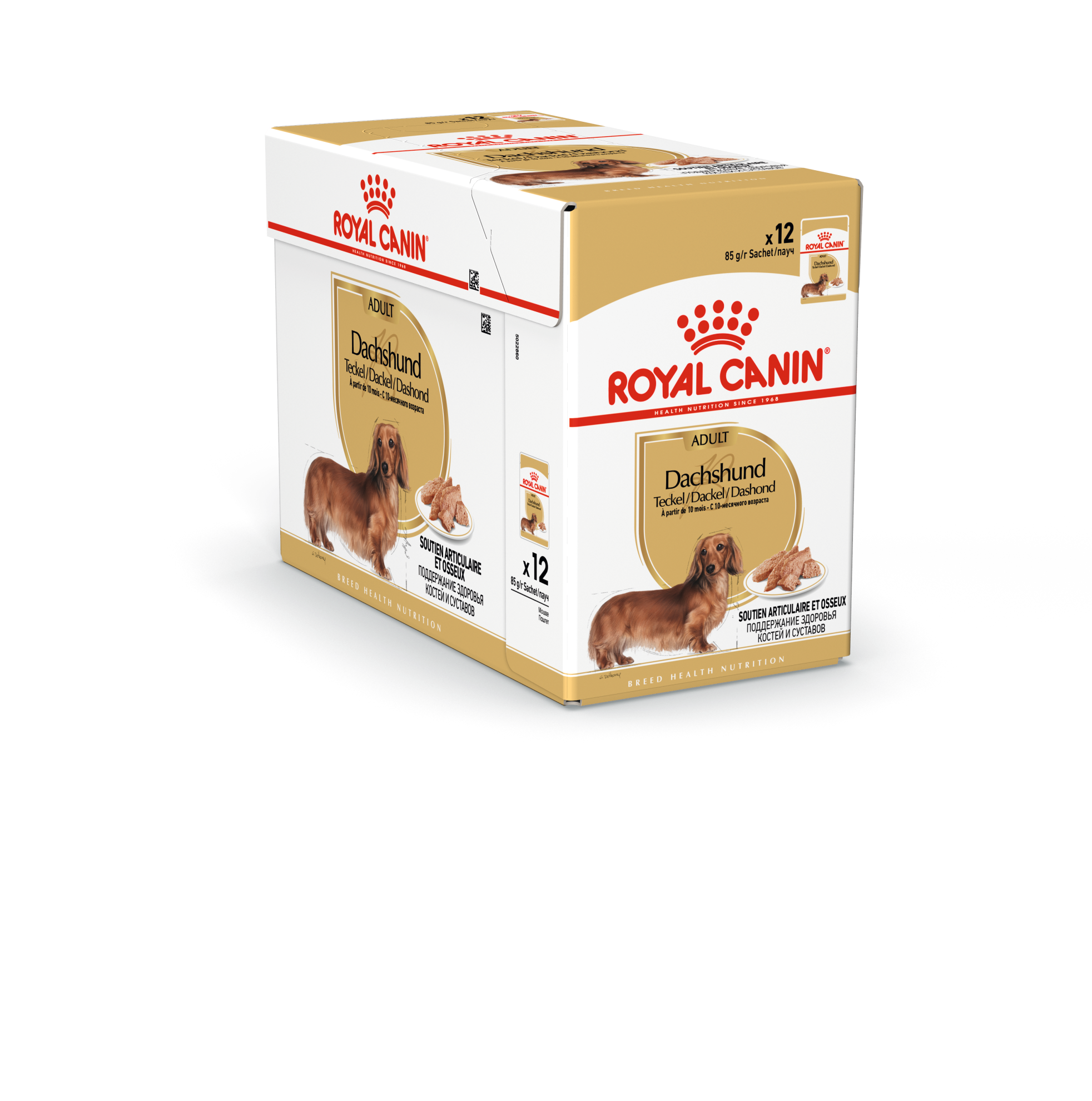 Royal Canin - Dachshund Adult Våtfoder för hund 85 g x 12 st - Hund - Hundmat & hundfoder - ZOO.se