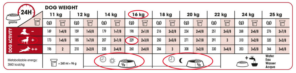 royal canin maxi puppy feeding chart