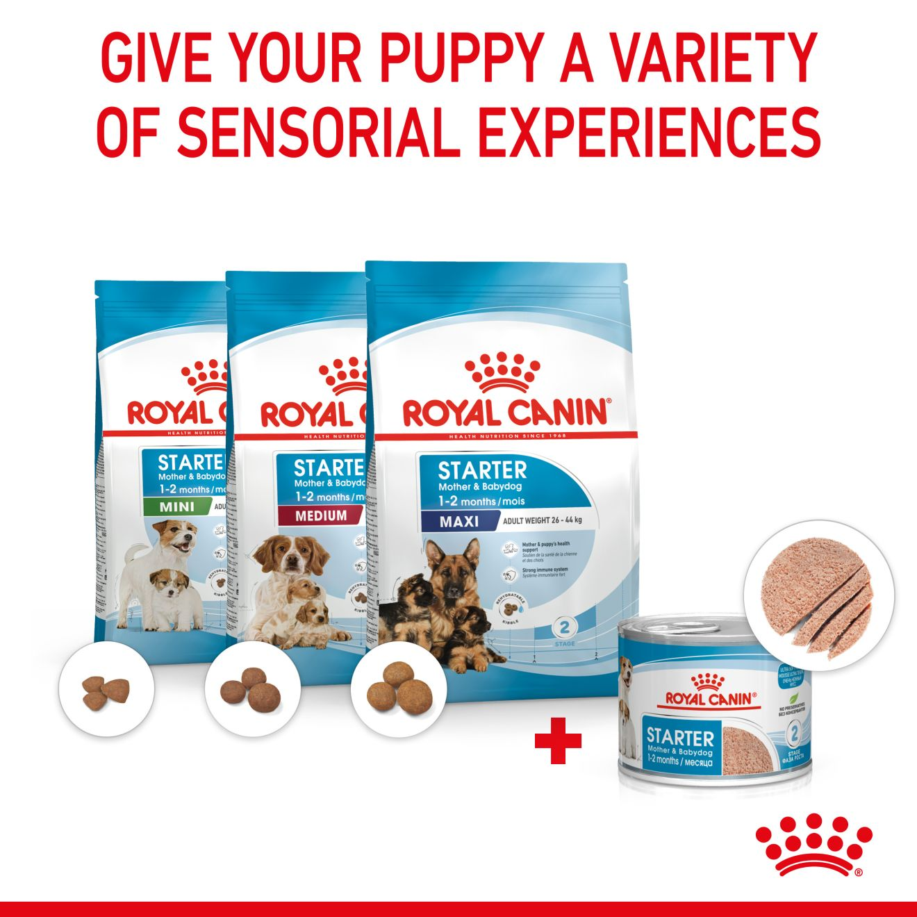 Royal canin puppy outlet mousse pets at home