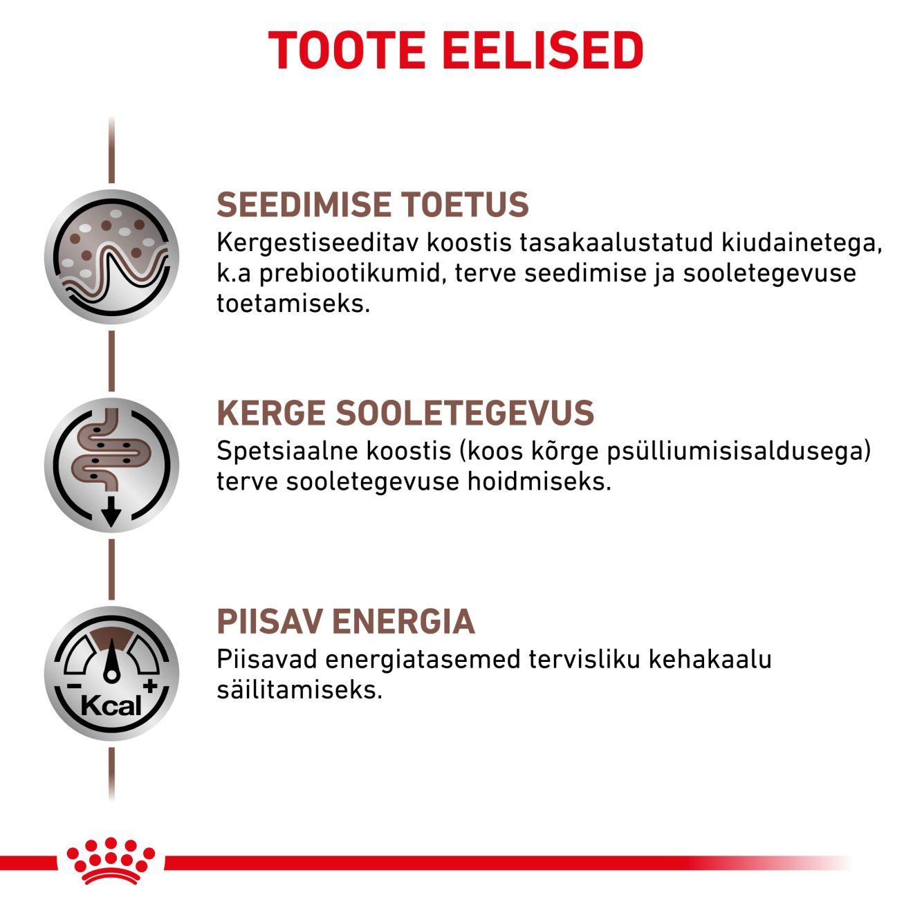 Royal Canin Gastrointestinal Fibre Response Cat kuivtoit