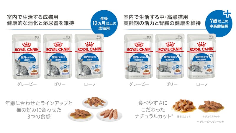 408-japan-local-ca-fhn-wet-gravy-and-loaf-and-jelly