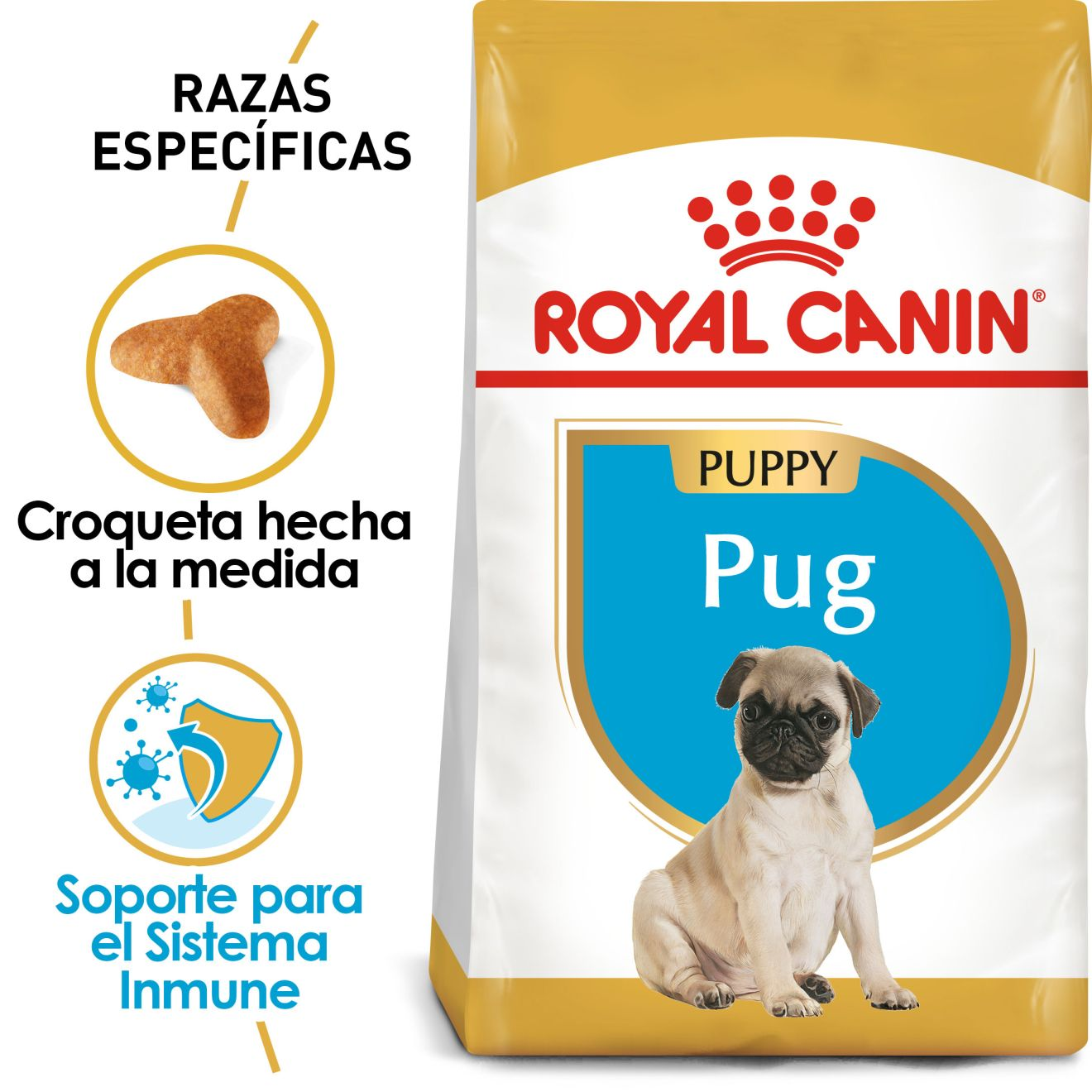 Pug Cachorro
