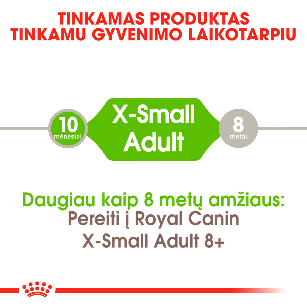 X-Small Adult