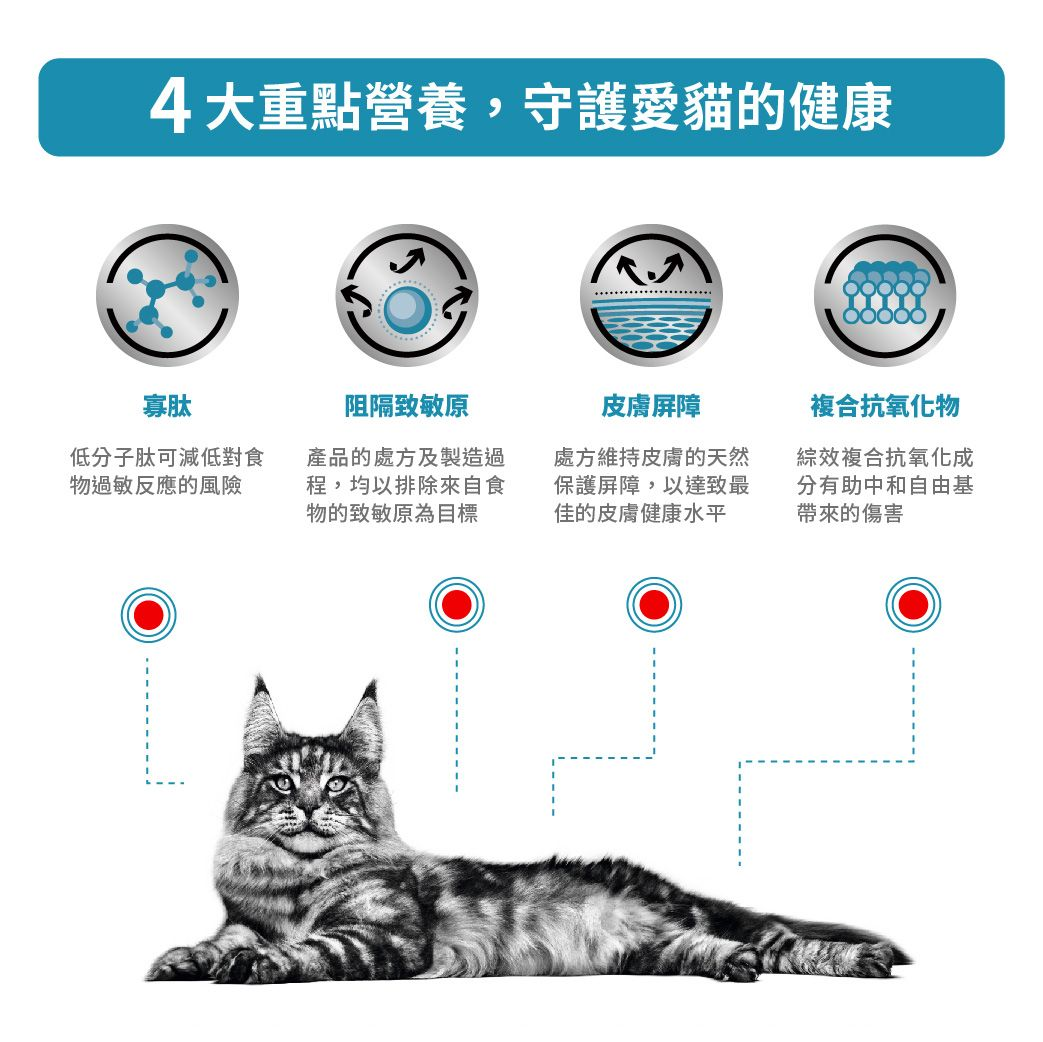 成貓高度水解低敏感處方