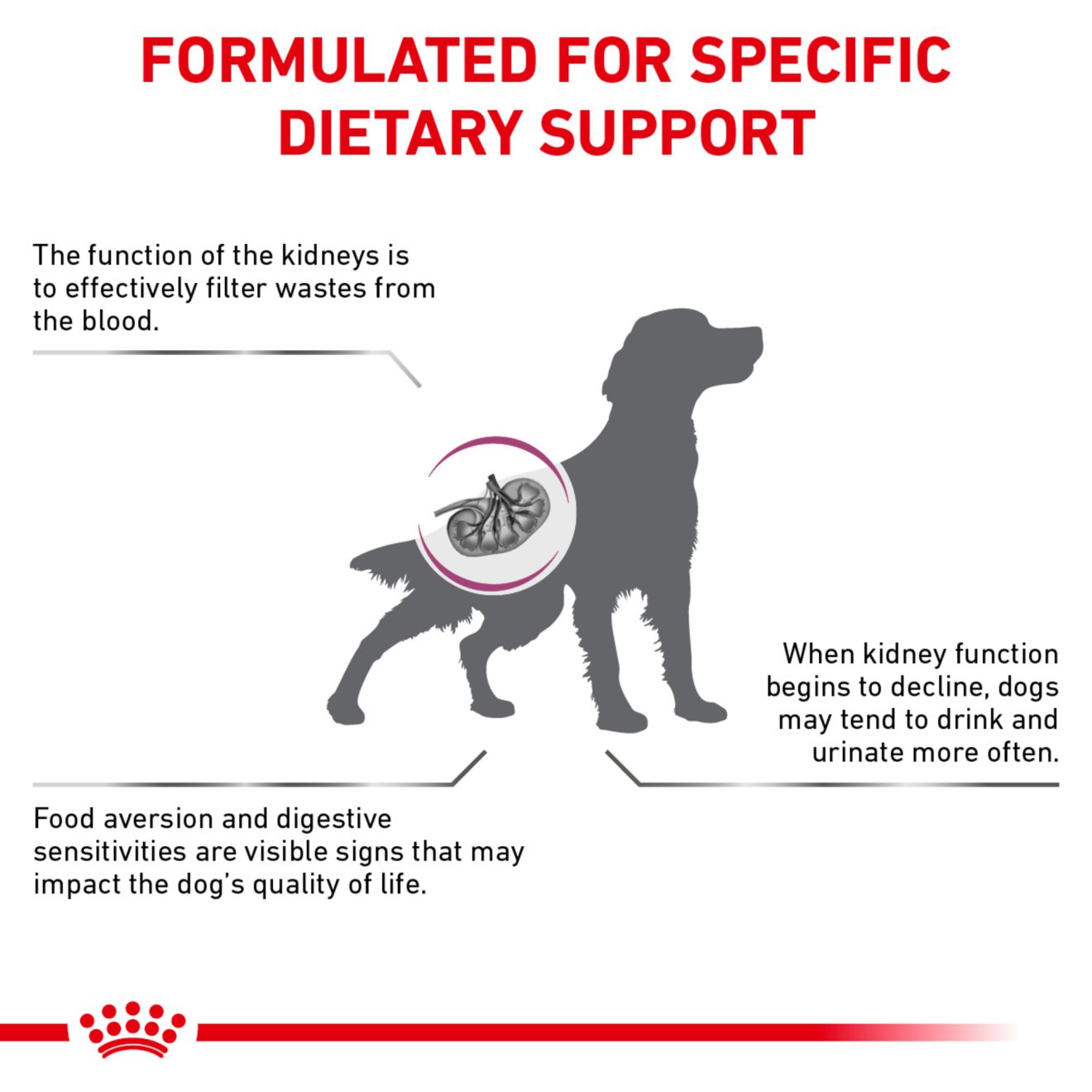 Calcium carbonate for hotsell dogs with kidney disease