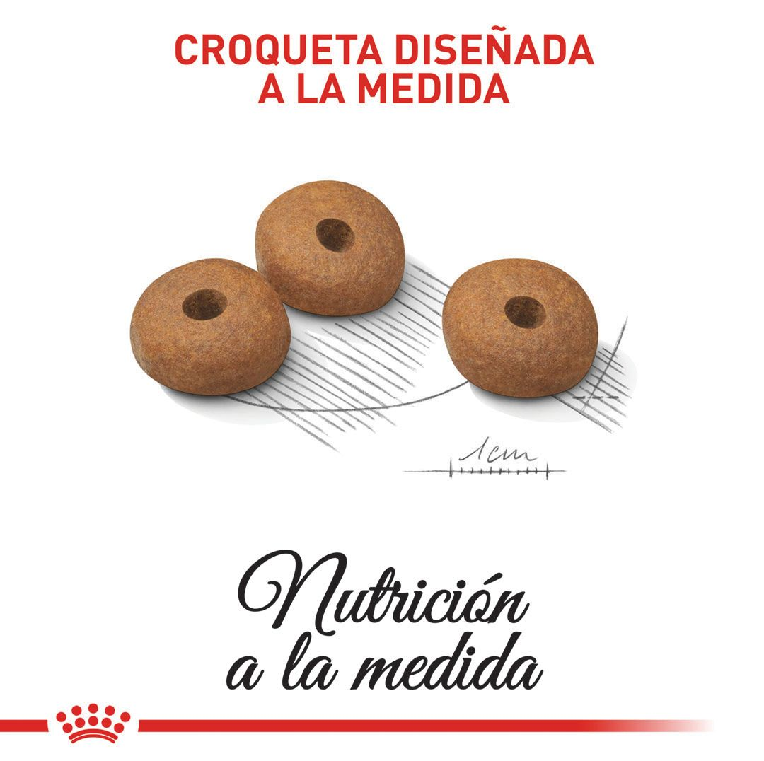 Light Weight Care Perro Mediano