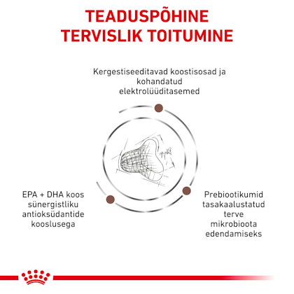 RC-VET-DRY-CatGastroFR-CV-Eretailkit-3-et_EE