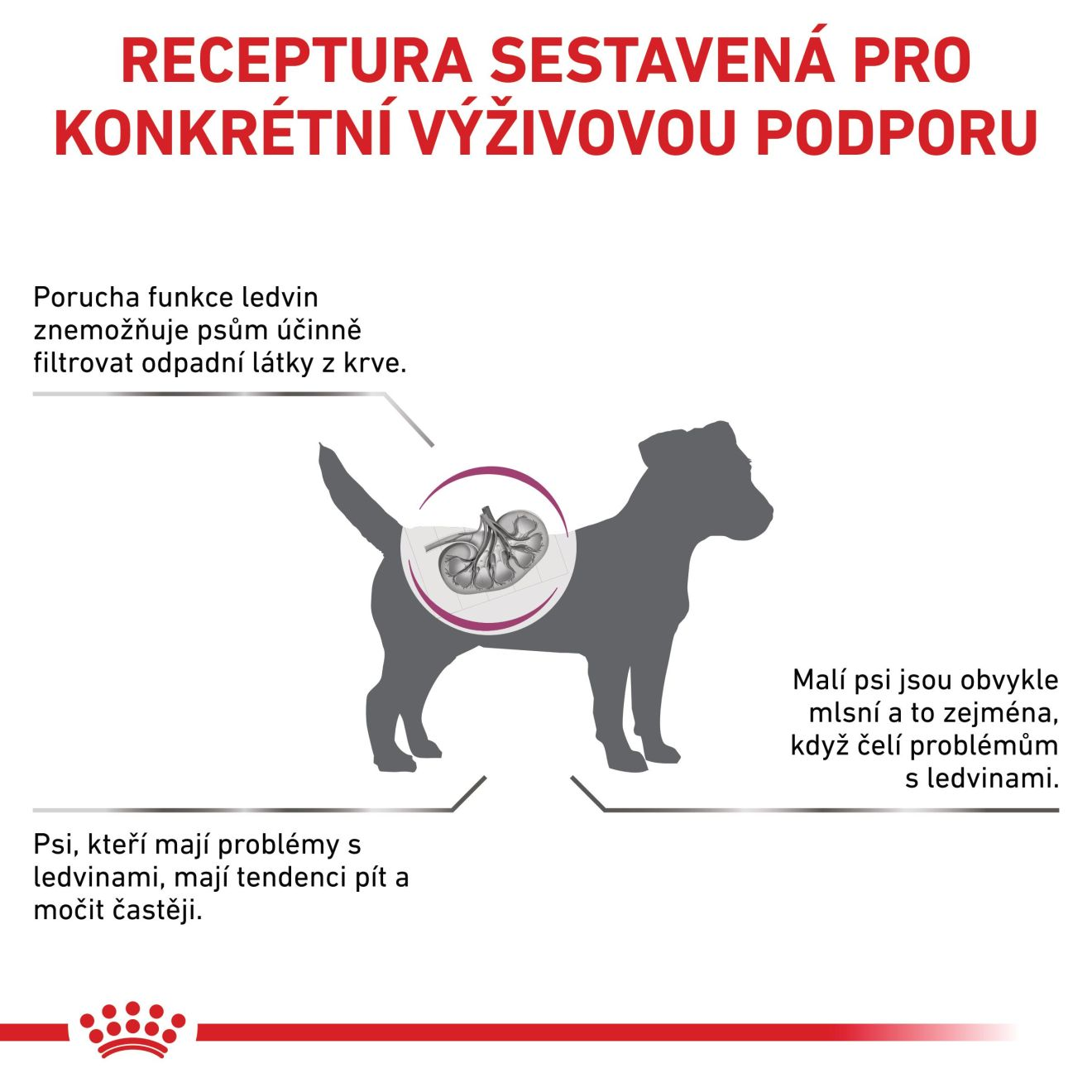 VHN Dog Renal Small Dog