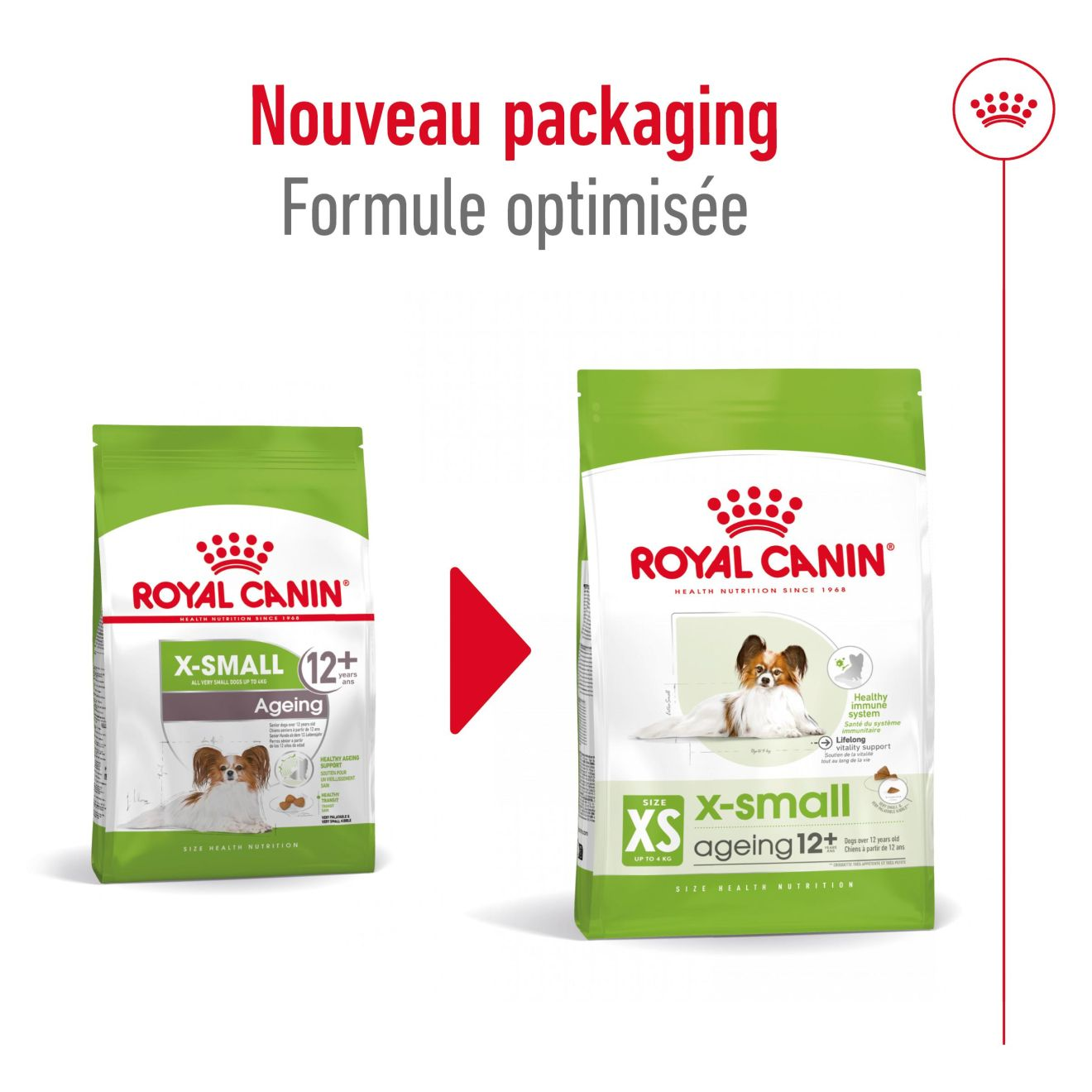 X-Small Ageing 12+