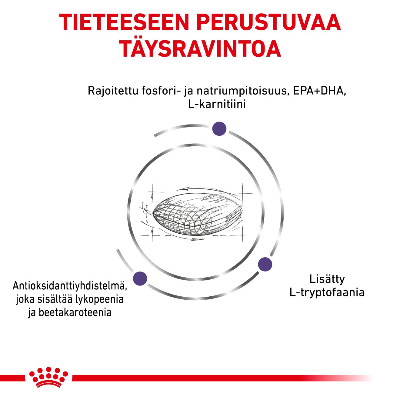 Health Mature Consult Small Dog 