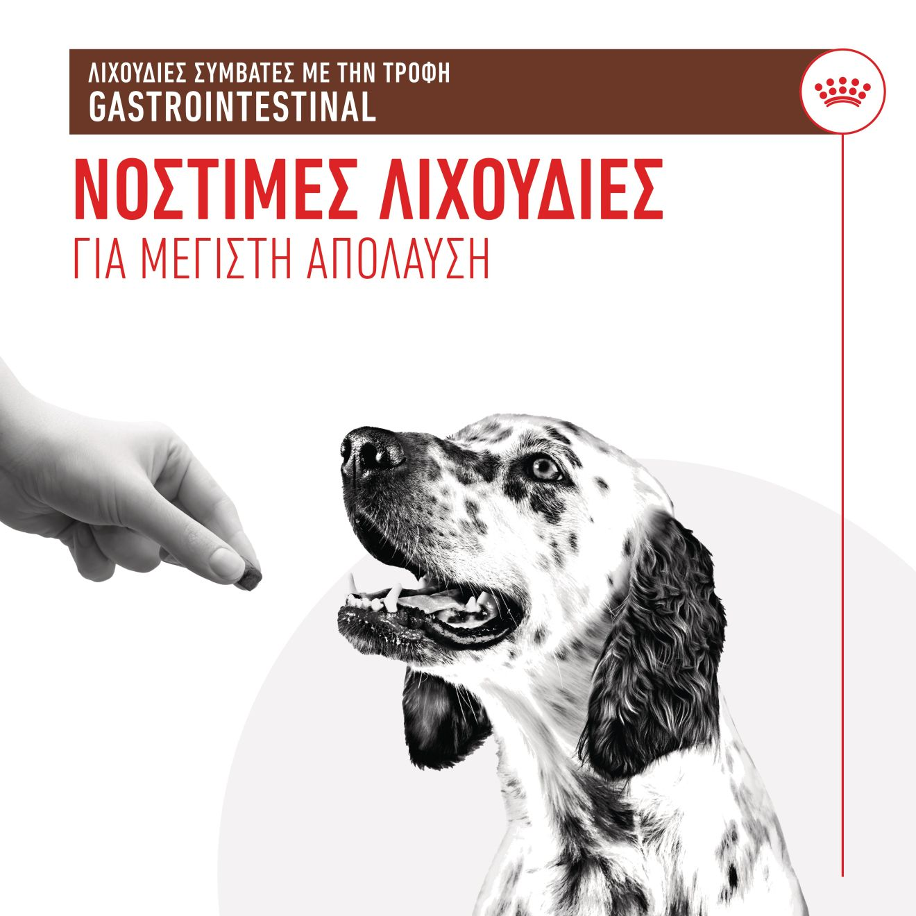 TREATS COMPATIBLE WITH GASTROINTESTINAL DIETS