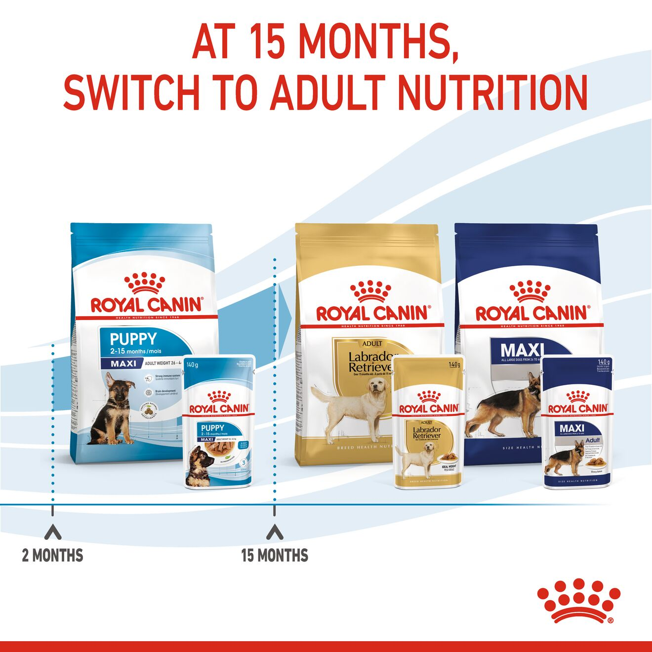 Royal canin giant puppy best sale feeding chart