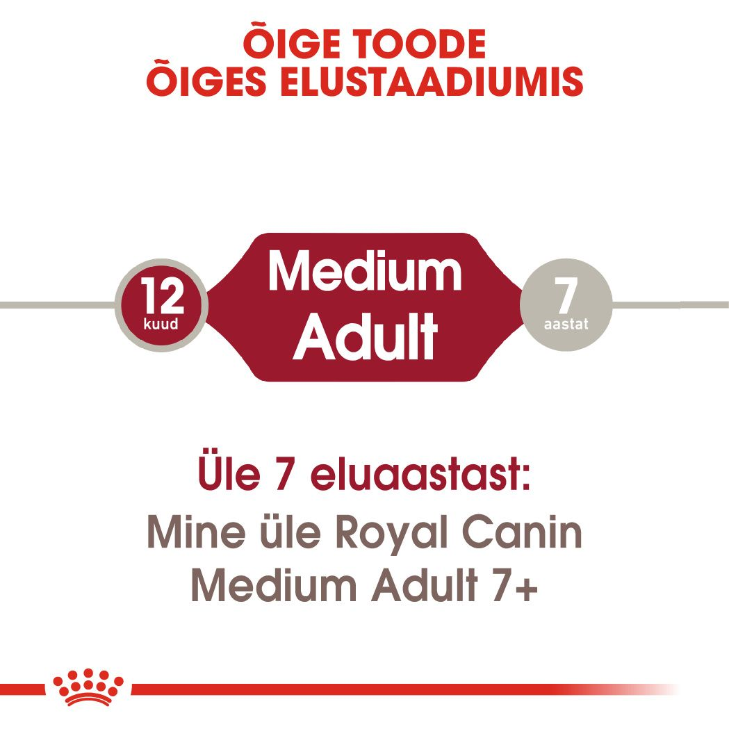 Royal Canin Medium Adult kuivtoit